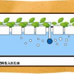 水耕栽培装置の酸素補給方法の種類-エアレーションシステム編