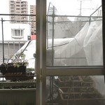 ベランダ菜園…家庭用温室が、崩壊!!