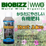 rootjuice1