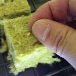培地に使うロックウールの紹介…土の代わりにロックウールを使う栽培!!