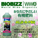 ALGAMIG1L1