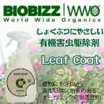 leafcoat1