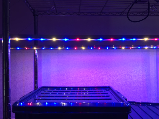 植物育成 LED