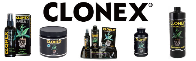 クローン栽培用 CLONEX（クロネックス）の有効的な使い方 | 水耕栽培の