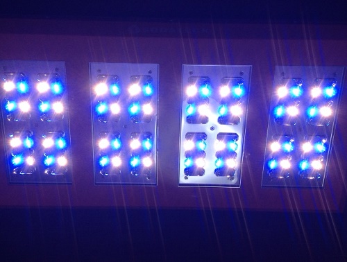 最新 植物育成 LED ライト SODATECK LED PRO ソダテック LED プロ | 水 