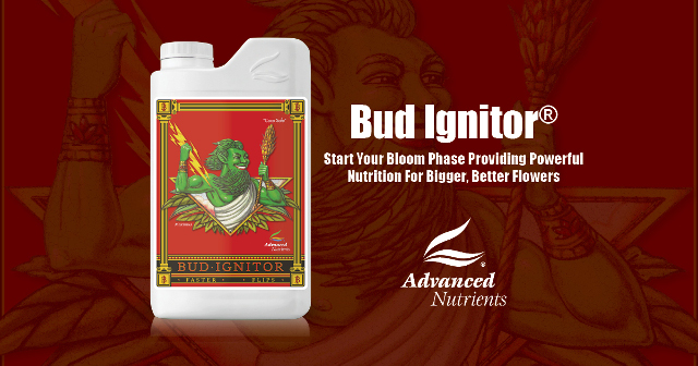 6947円 絶対一番安い 活力剤 Bud Ignitor 500ml 開花初期に使用する理想的な開花ブースト